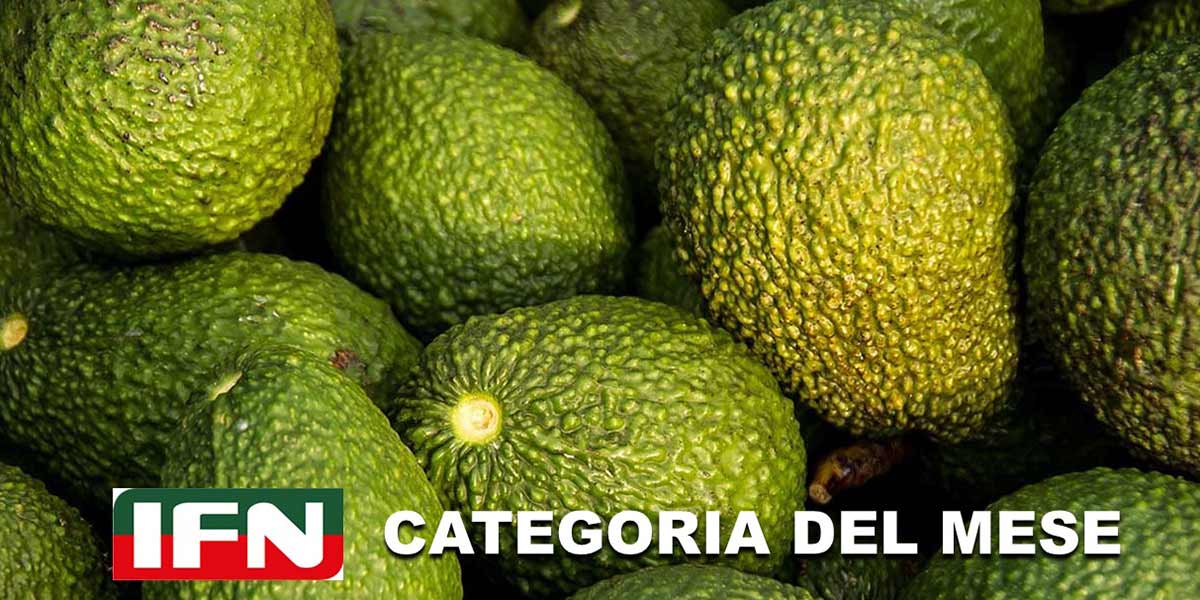 È avocado-mania nei Discount